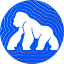 APE