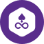 EDG